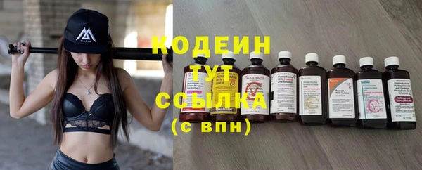 молекула духа Краснослободск