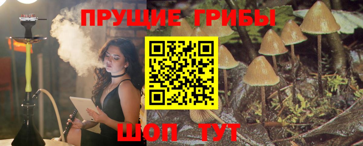 Псилоцибиновые грибы Psilocybe  Вход с VPN  Ртищево 