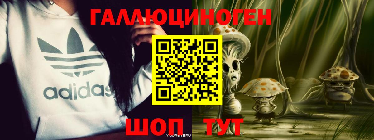 Галлюциногенные грибы Cubensis Ртищево