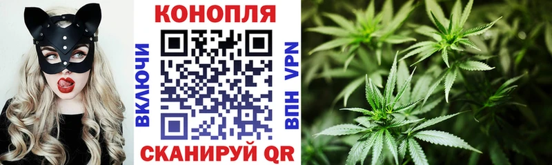shop наркотические препараты  где можно купить наркотик  Ртищево  Каннабис VHQ 